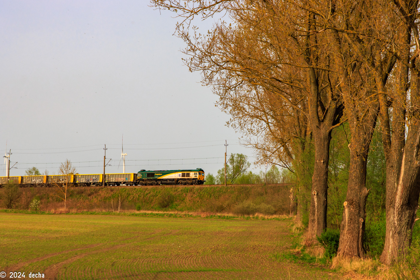 66001