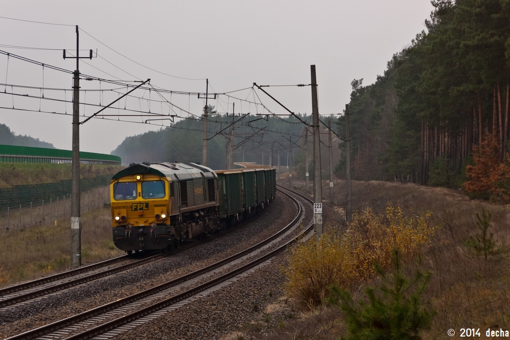 66004