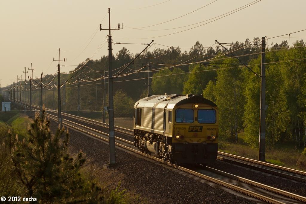66007