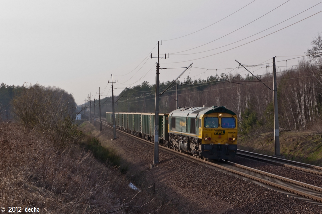 66006