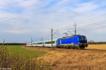 X4E-802